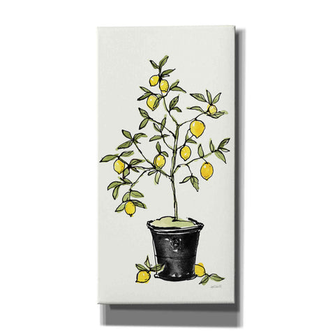 Image of 'Citron V' by Anne Tavoletti, Canvas Wall Art