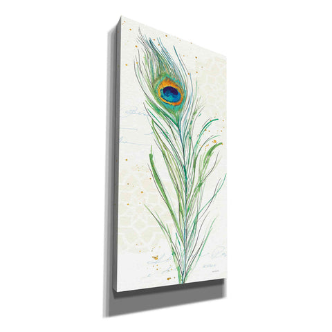 Image of 'Peacock Garden VI' by Anne Tavoletti, Canvas Wall Art