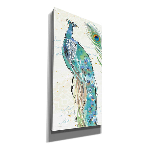 Image of 'Peacock Garden IV' by Anne Tavoletti, Canvas Wall Art