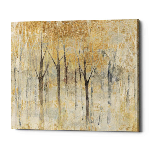 Image of 'Seasons End Gold' by Avery Tillmon, Canvas Wall Art