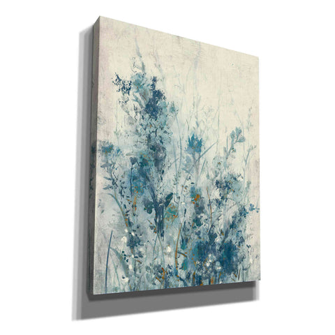 Image of 'Blue Spring I' by Tim OToole Canvas Wall Art