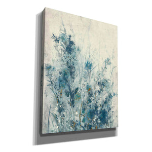 'Blue Spring I' by Tim OToole Canvas Wall Art