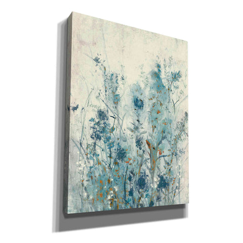 Image of 'Blue Spring II' by Tim OToole Canvas Wall Art