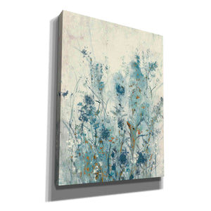 'Blue Spring II' by Tim OToole Canvas Wall Art