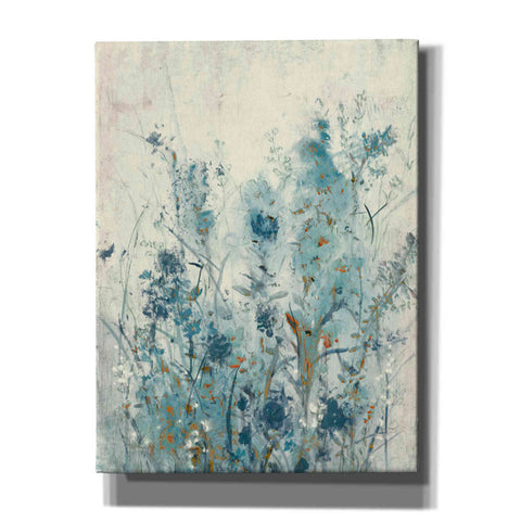 Image of 'Blue Spring II' by Tim OToole Canvas Wall Art