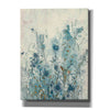 'Blue Spring II' by Tim OToole Canvas Wall Art