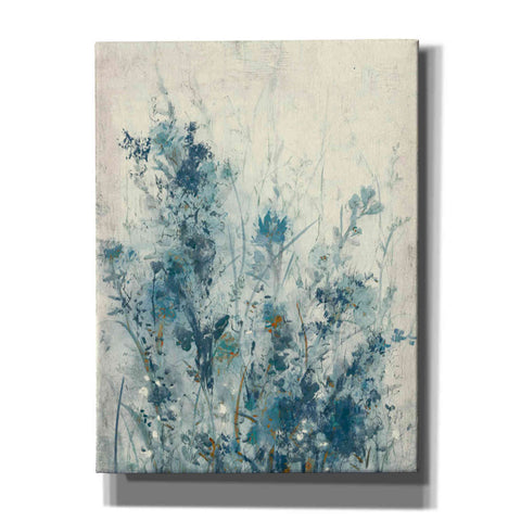 Image of 'Blue Spring I' by Tim OToole Canvas Wall Art