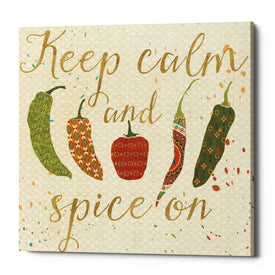 'Mexican Fiesta VI' by Veronique Charron, Canvas Wall Art