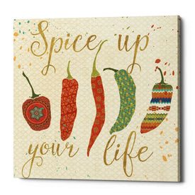 'Mexican Fiesta V' by Veronique Charron, Canvas Wall Art