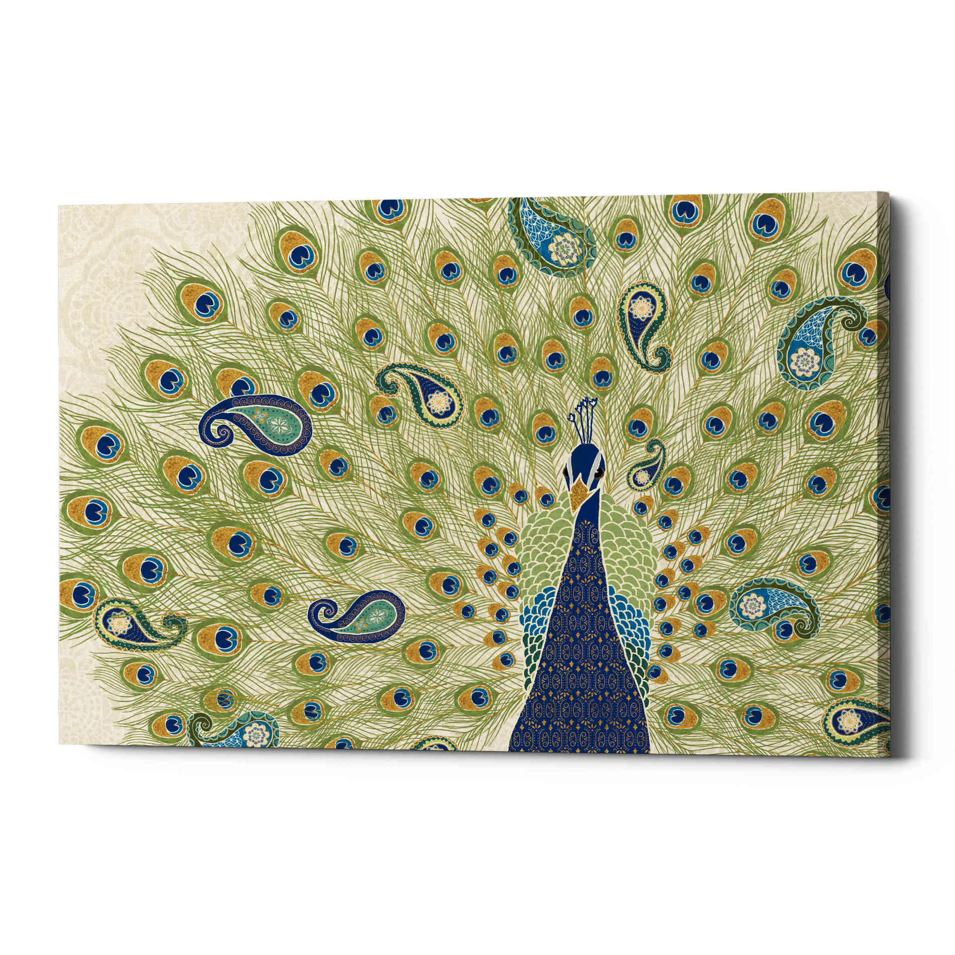 'Peacock Paradise II' by Veronique Charron, Canvas Wall Art