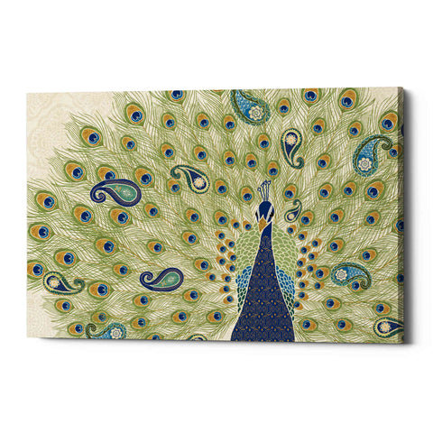Image of 'Peacock Paradise II' by Veronique Charron, Canvas Wall Art