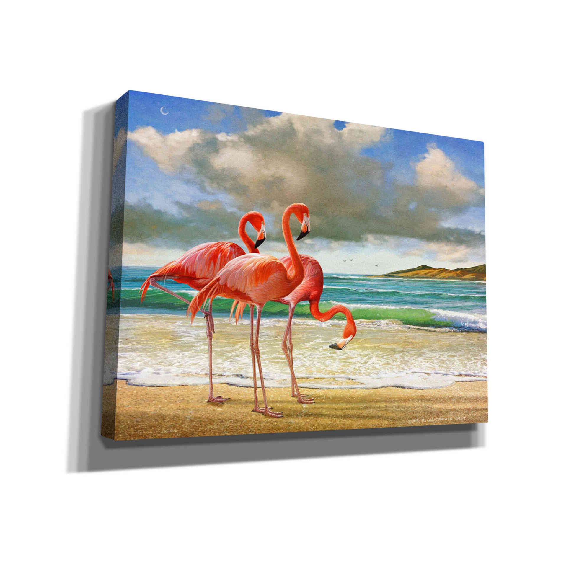 'Beach Scene Flamingos' by Chris Vest, Giclee Canvas Wall Art
