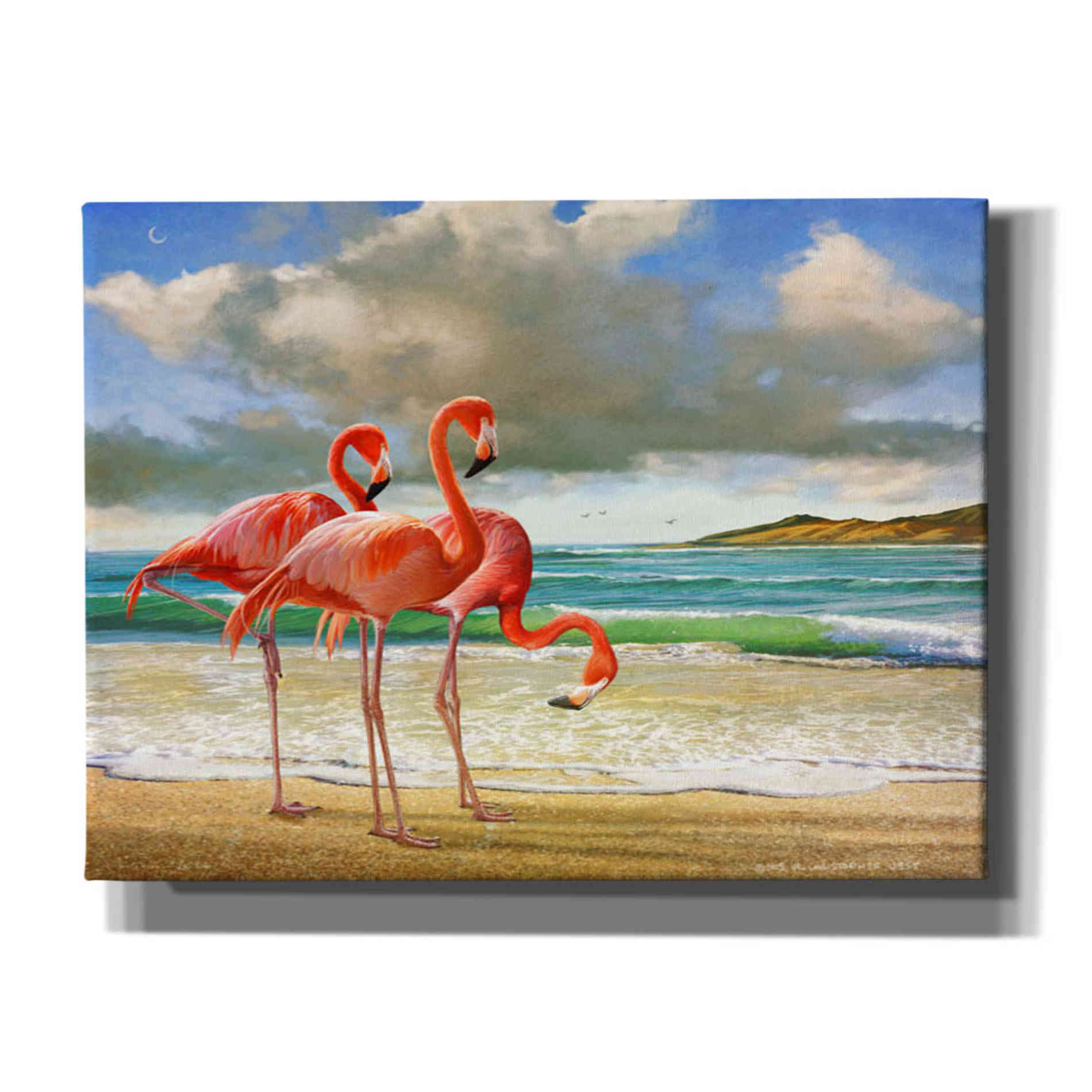 'Beach Scene Flamingos' by Chris Vest, Giclee Canvas Wall Art