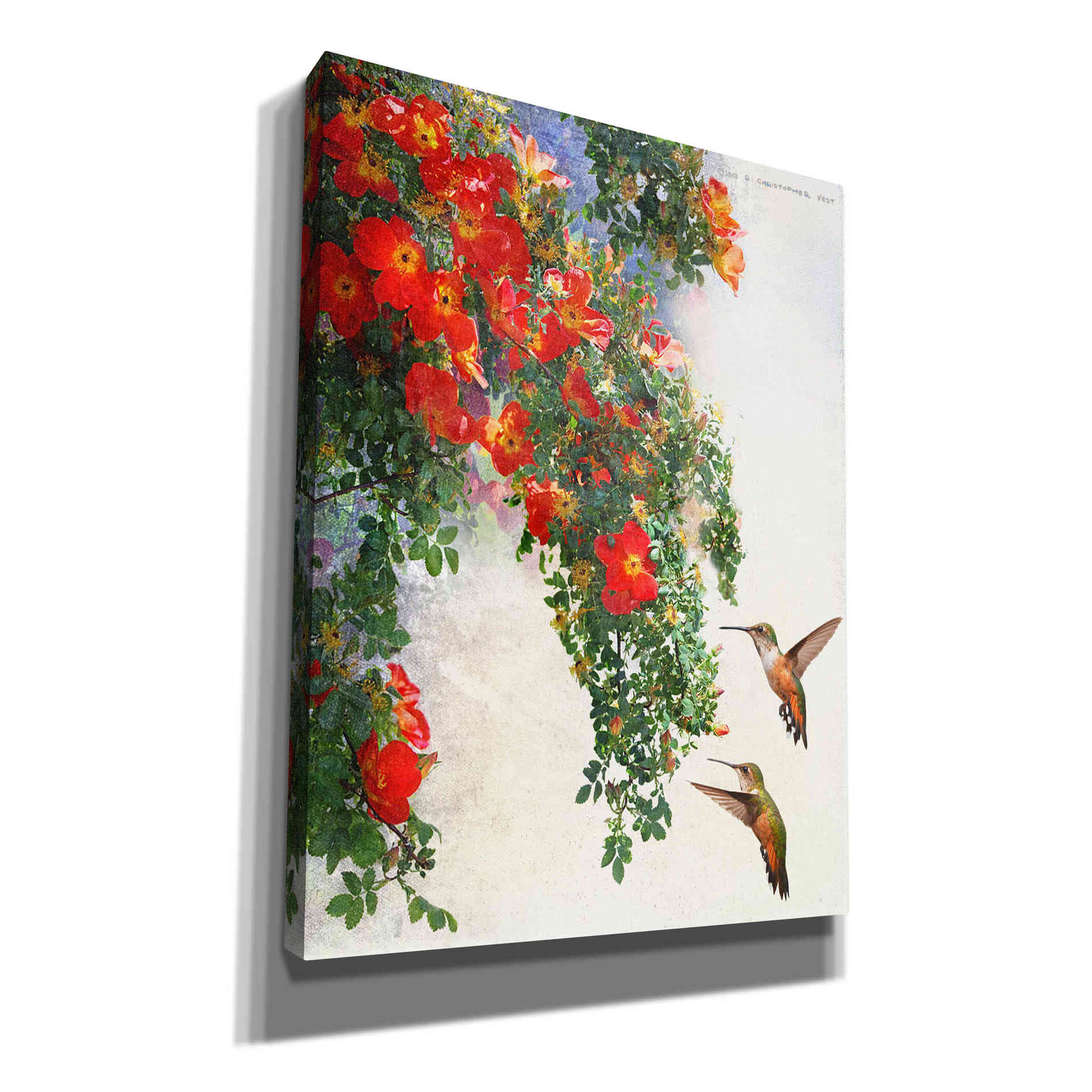 'Hanging Red Roses and Hummers' by Chris Vest, Giclee Canvas Wall Art