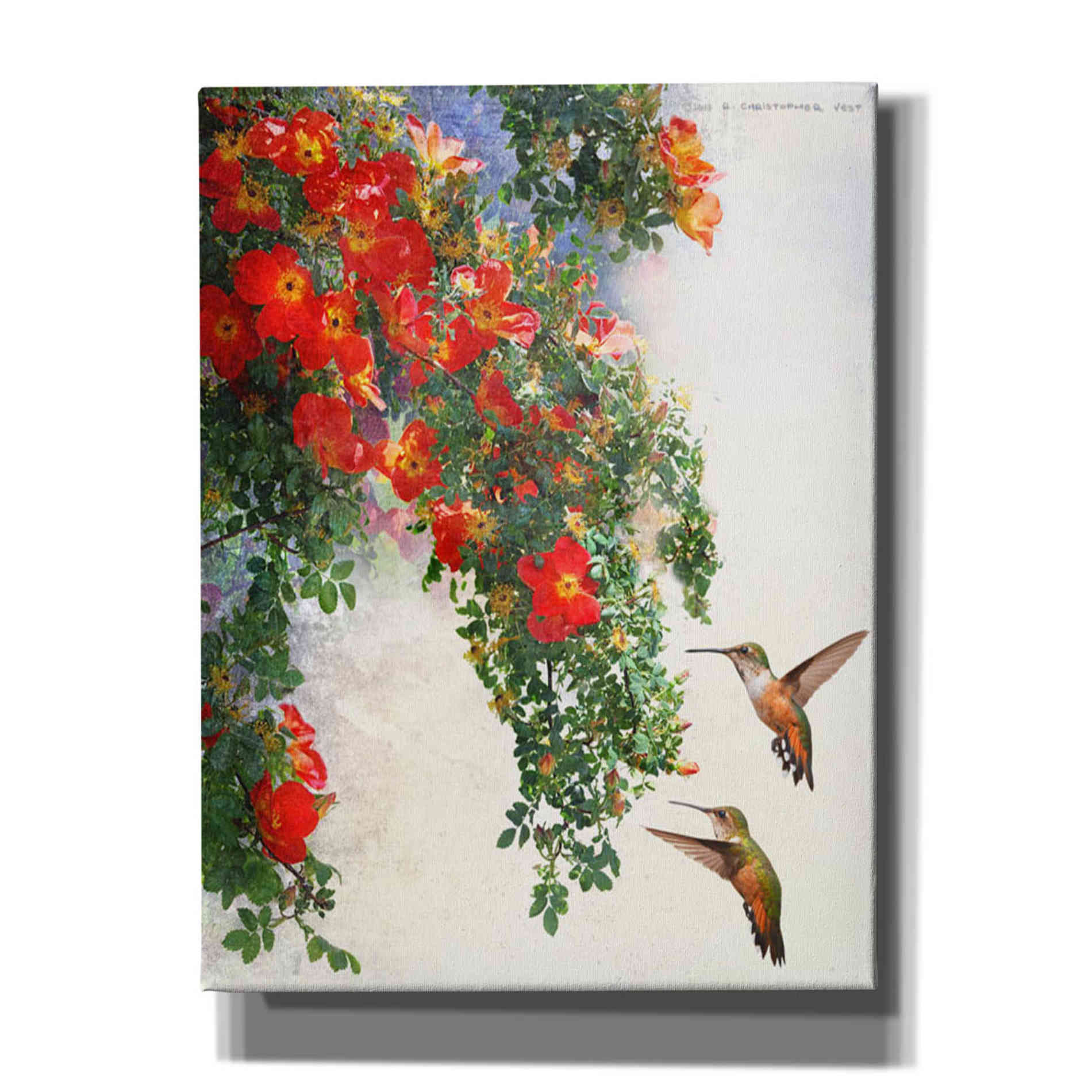 'Hanging Red Roses and Hummers' by Chris Vest, Giclee Canvas Wall Art