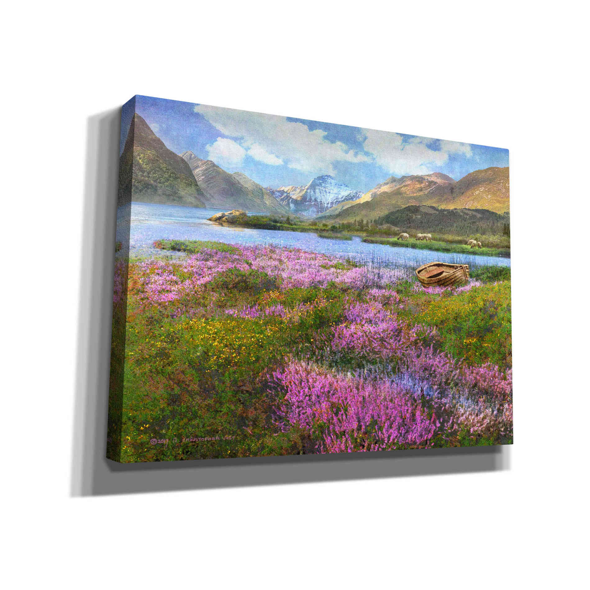 'Heather Scotland' by Chris Vest, Giclee Canvas Wall Art