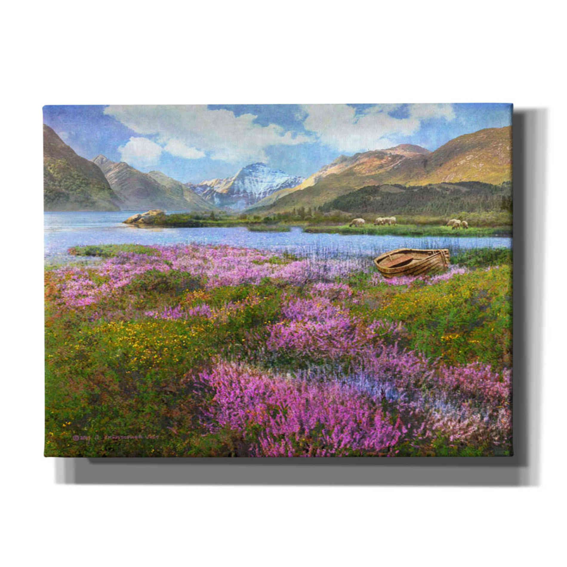 'Heather Scotland' by Chris Vest, Giclee Canvas Wall Art