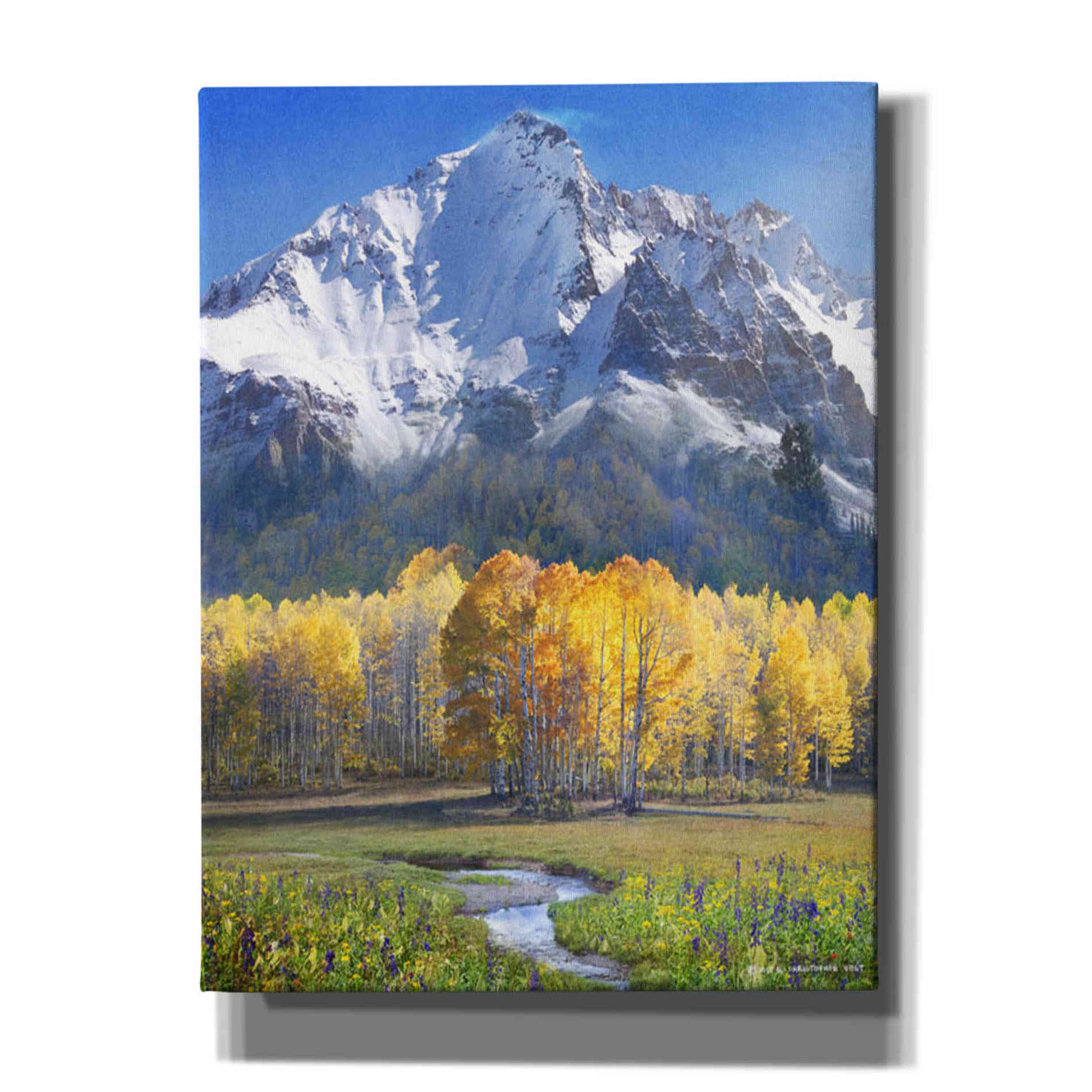 'Idyllic Mountain' by Chris Vest, Giclee Canvas Wall Art