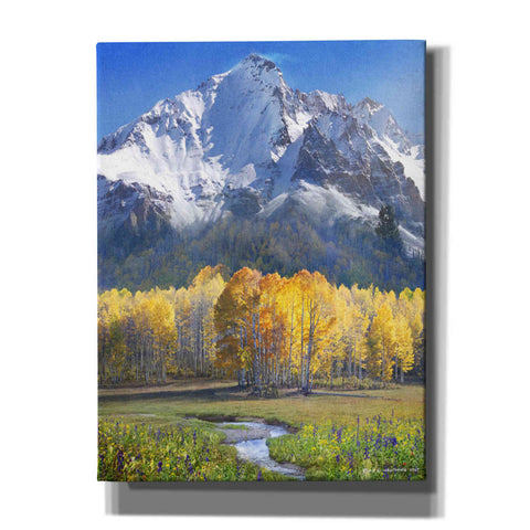 Image of 'Idyllic Mountain' by Chris Vest, Giclee Canvas Wall Art