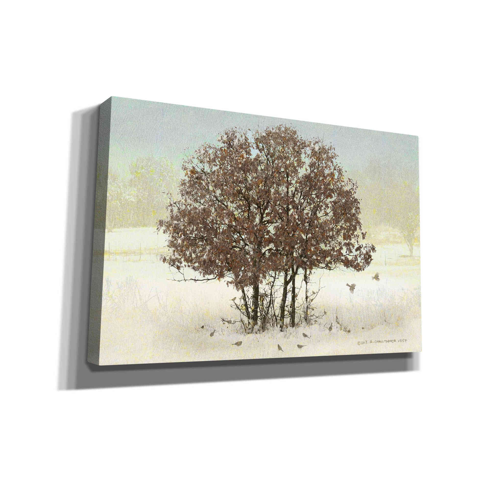'Juncos and Oak' by Chris Vest, Giclee Canvas Wall Art