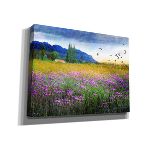 'Mesa Verde and Knapweed' by Chris Vest, Giclee Canvas Wall Art