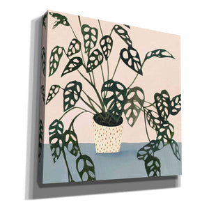 'Houseplant I' by Victoria Borges Canvas Wall Art