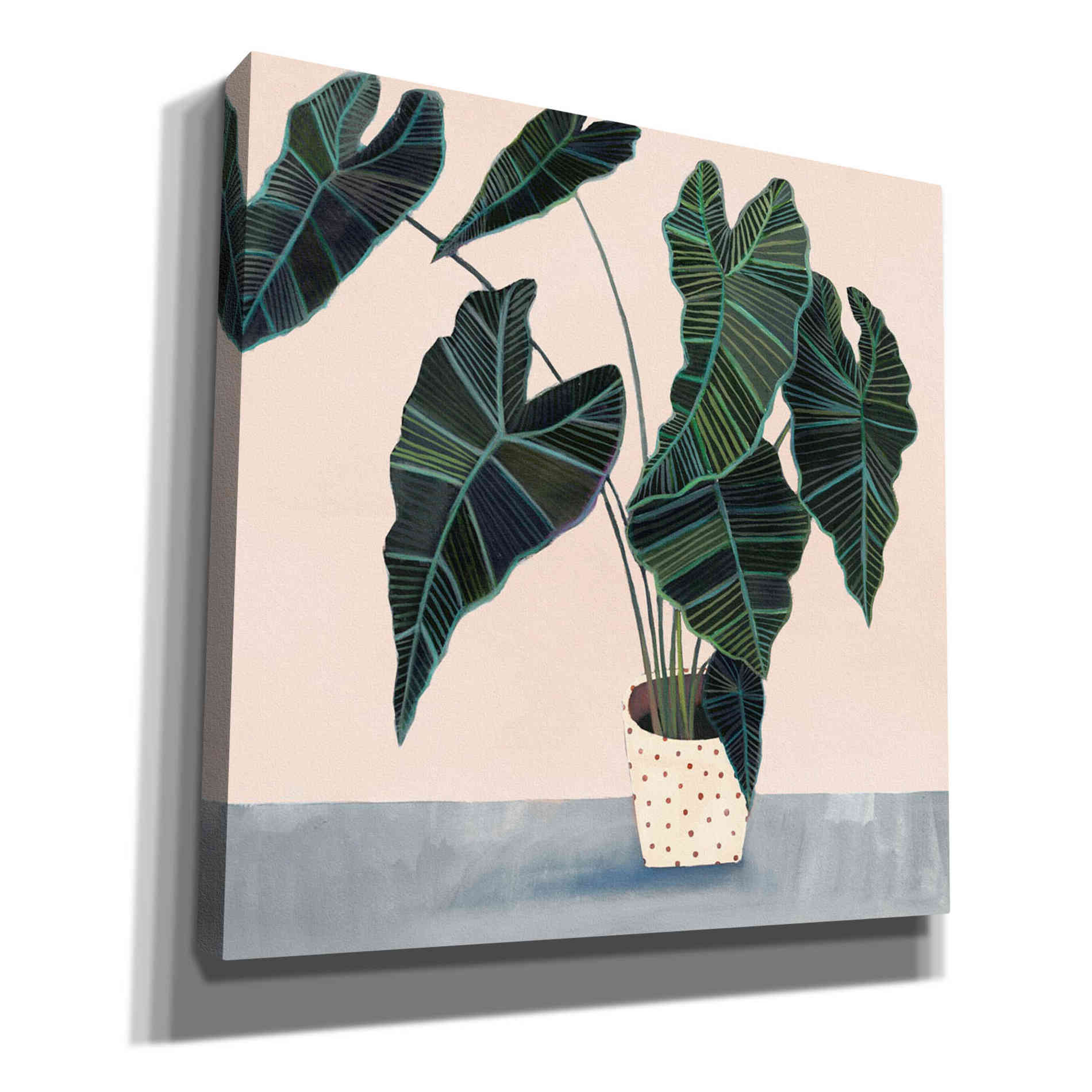 'Houseplant II' by Victoria Borges Canvas Wall Art