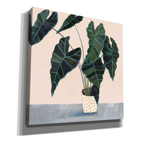 Image of 'Houseplant II' by Victoria Borges Canvas Wall Art