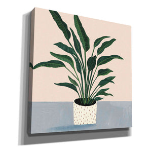 'Houseplant IV' by Victoria Borges Canvas Wall Art
