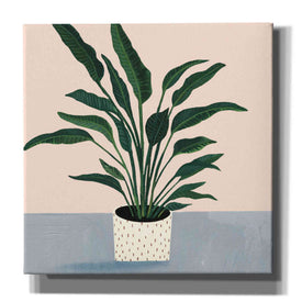 'Houseplant IV' by Victoria Borges Canvas Wall Art