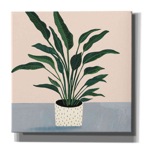 Image of 'Houseplant IV' by Victoria Borges Canvas Wall Art