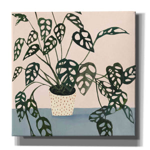 'Houseplant I' by Victoria Borges Canvas Wall Art
