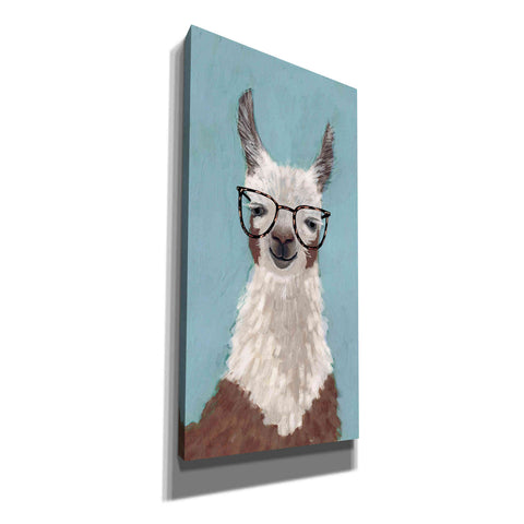 Image of 'Llama Specs I' by Victoria Borges Canvas Wall Art