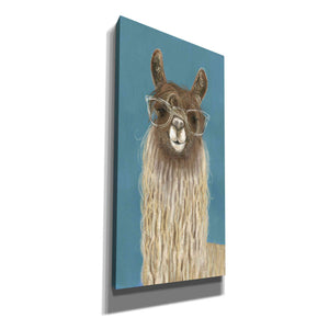 'Llama Specs IV' by Victoria Borges Canvas Wall Art