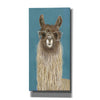 'Llama Specs IV' by Victoria Borges Canvas Wall Art