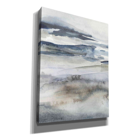 Image of 'Neutral Salt Spray I' by Victoria Borges Canvas Wall Art