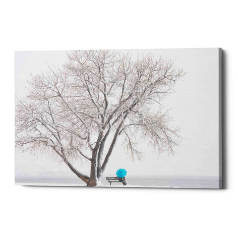 Image of 'Another Winter Alone' by Darren White, Canvas Wall Art