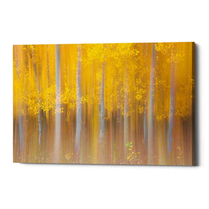 'Changing Seasons' by Darren White, Canvas Wall Art