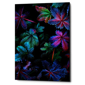 'Frosty Fall' by Darren White, Canvas Wall Art