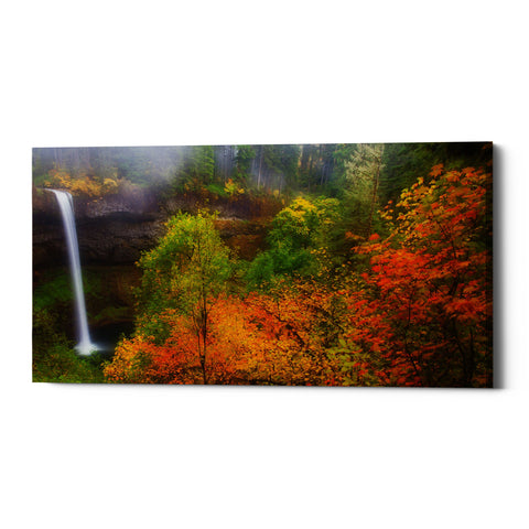 Image of 'Silver Falls' by Darren White, Canvas Wall Art