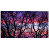 'Sunrise in the Trees' by Darren White, Canvas Wall Art