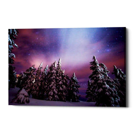 'Winter Nights' by Darren White, Canvas Wall Art