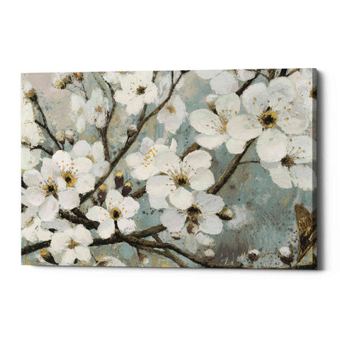 Image of 'Cherry Blossoms I BLUE' by James Wiens, Canvas Wall Art