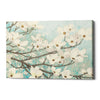 'Blossoms' by James Wiens, Canvas Wall Art