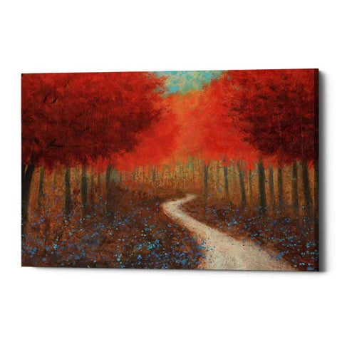 Image of 'Forest Pathway' by James Wiens, Canvas Wall Art