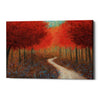 'Forest Pathway' by James Wiens, Canvas Wall Art