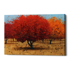 'Orange Trees II' by James Wiens, Canvas Wall Art