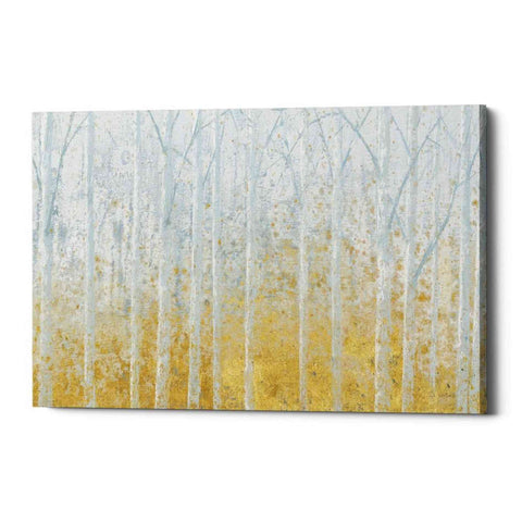 Image of 'Silver Water GOLD' by James Wiens, Canvas Wall Art