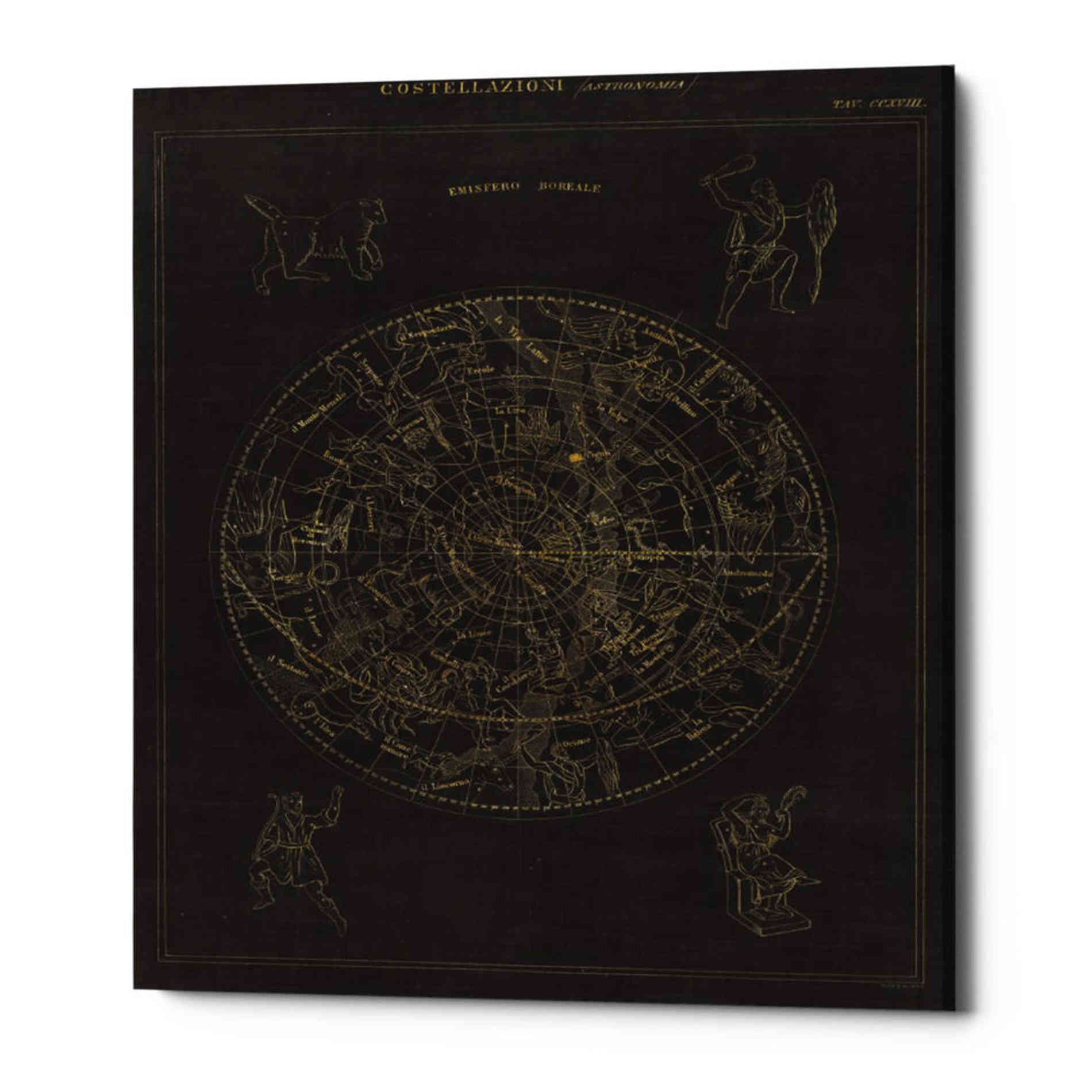 'Costellazioni I' by Wild Apple Portfolio, Canvas Wall Art