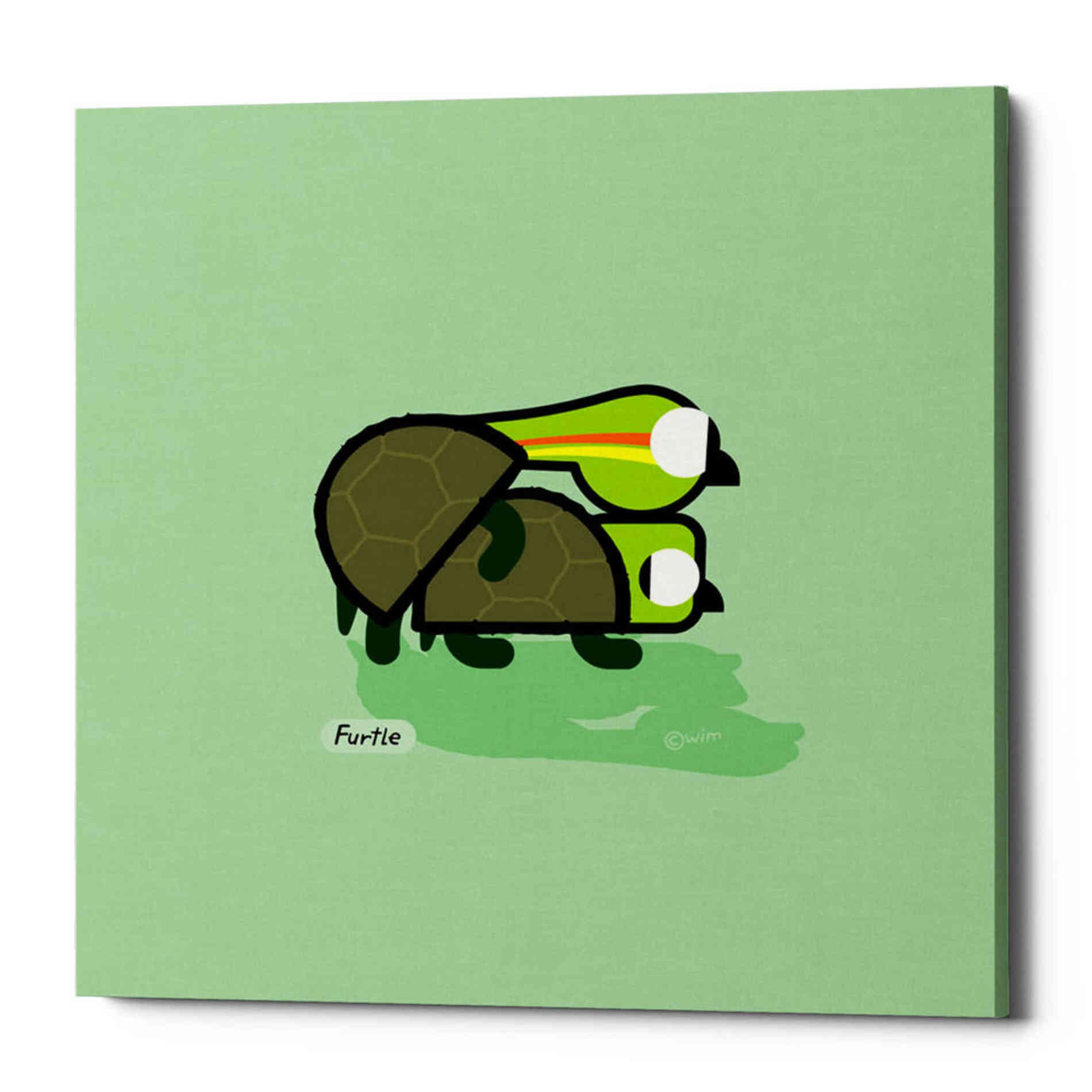 'Furtle' by Chuck Wimmer, Canvas Wall Art